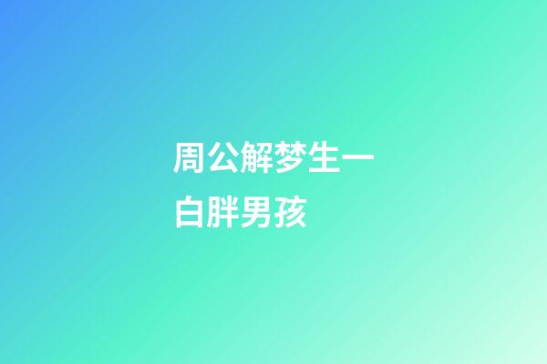 周公解梦生一白胖男孩 (做梦生了个白白胖胖的男孩)-第1张-观点-玄机派